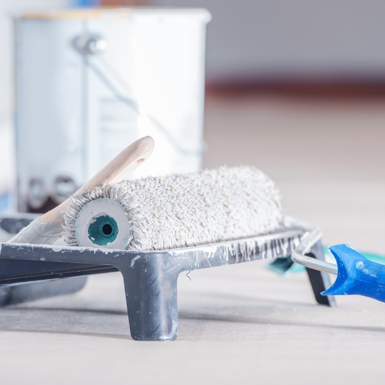 Painting services in Longmont, CO